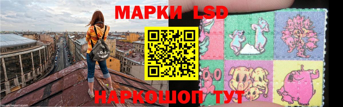 LSD-25 экстази кислота  omg зеркало  Кыштым  Лсд 25 экстази кислота  Вход с VPN 