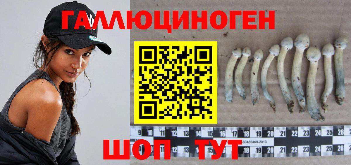 Псилоцибиновые грибы прущие грибы  Вход с VPN  Кыштым 