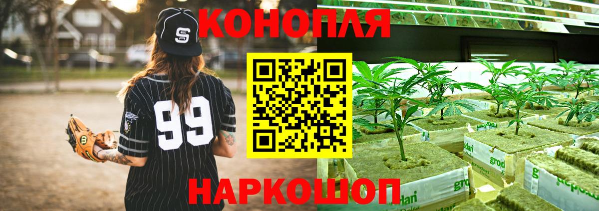 Бошки Шишки гибрид  Вход с VPN  Кыштым  Каннабис гибрид  Канабис тримм 